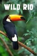 Watch Wild Rio Fmovies