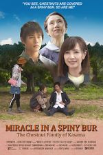Watch Miracle in Kasama Fmovies
