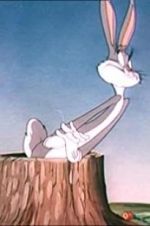 Watch The Unruly Hare Fmovies