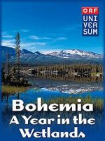 Watch Bohemia: A Year in the Wetlands Fmovies