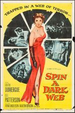 Watch Spin a Dark Web Fmovies