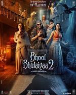 Watch Bhool Bhulaiyaa 2 Fmovies
