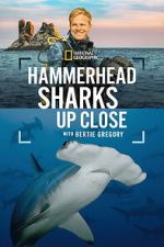 Watch Hammerhead Sharks Up Close with Bertie Gregory Fmovies