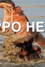 Watch Hippo Hell Fmovies