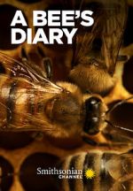 Watch A Bee\'s Diary (TV Special 2022) Fmovies