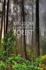 Watch National Geographic Kingdom of the Forest Fmovies