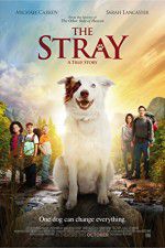 Watch The Stray Fmovies