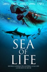 Watch Sea of Life Fmovies