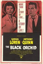 Watch The Black Orchid Fmovies