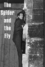 Watch The Spider and the Fly Fmovies