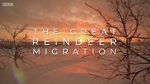 Watch All Aboard! The Great Reindeer Migration Fmovies