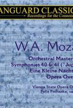 Watch Whiteforce Fmovies