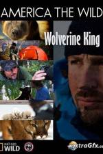 Watch National Geographic Wild America the Wild Wolverine King Fmovies