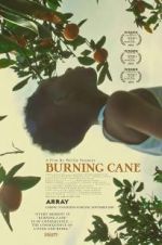 Watch Burning Cane Fmovies