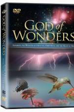 Watch God of Wonders Fmovies