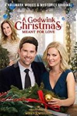 Watch A Godwink Christmas: Meant for Love Fmovies
