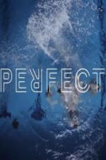 Watch Perfect Fmovies