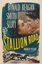 Watch Stallion Road Fmovies