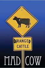 Watch Mad Cow Fmovies