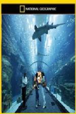 Watch National Geographic Megastructures Dubai Mega Mall Fmovies