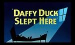Watch Daffy Duck Slept Here (Short 1948) Fmovies