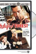 Watch The Petrified Forest Fmovies