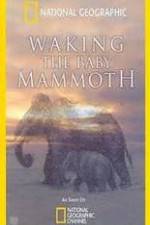 Watch Waking the Baby Mammoth Fmovies
