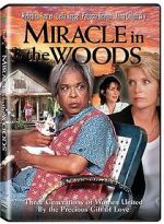 Watch Miracle in the Woods Fmovies