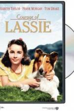 Watch Courage of Lassie Fmovies
