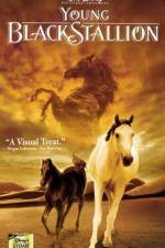 Watch The Young Black Stallion Fmovies