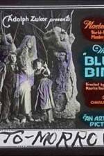 Watch The Blue Bird Fmovies