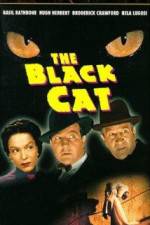 Watch The Black Cat Fmovies