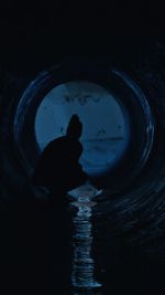 Watch Gwafi (Short 2022) Fmovies