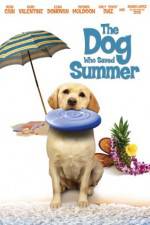 Watch The Dog Who Saved Summer Fmovies