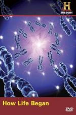 Watch How Life Began Fmovies