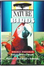 Watch PBS Nature - Extraordinary Birds Fmovies