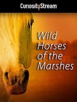 Watch Wild Horses of the Marshes Fmovies