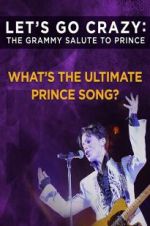 Watch Let\'s Go Crazy: The Grammy Salute to Prince Fmovies