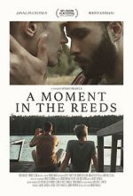 Watch A Moment in the Reeds Fmovies