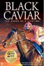 Watch Black Caviar The Races Fmovies