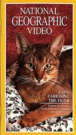 Watch Cats: Caressing the Tiger Fmovies
