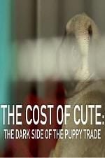 Watch The Cost of Cute: The Dark Side of the Puppy Trade Fmovies