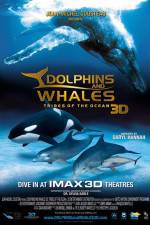 Watch Dolphins and Whales 3D Tribes of the Ocean Fmovies