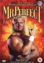 Watch The Life and Times of Mr. Perfect Fmovies