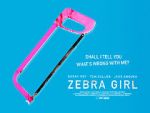 Watch Zebra Girl Fmovies