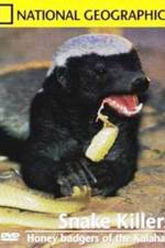 Watch National Geographic: Snake Killers Honey Badgers Of The Kalahari Fmovies