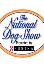 Watch National Dog Show Fmovies