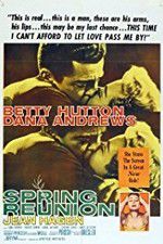 Watch Spring Reunion Fmovies