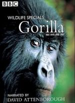Watch Gorilla Revisited with David Attenborough Fmovies