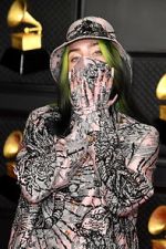 Watch The 63rd Annual Grammy Awards Fmovies